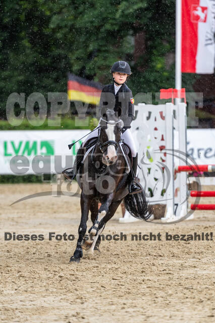 Goldene Schärpe 2021 - Ponys