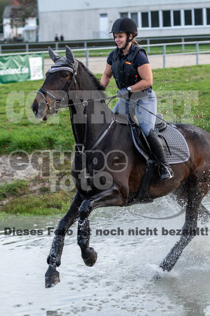 IGV Lehrgang der Sieger der Cups mit Frank Ostholt