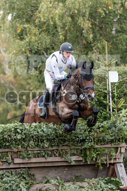 Vielseitigkeit RSV Wesel Obrighoven (26.+27.09.2020)