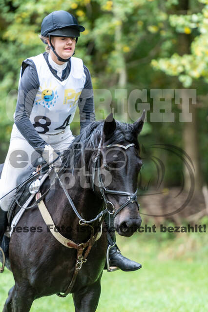 Vielseitigkeit RSV Wesel Obrighoven (26.+27.09.2020)