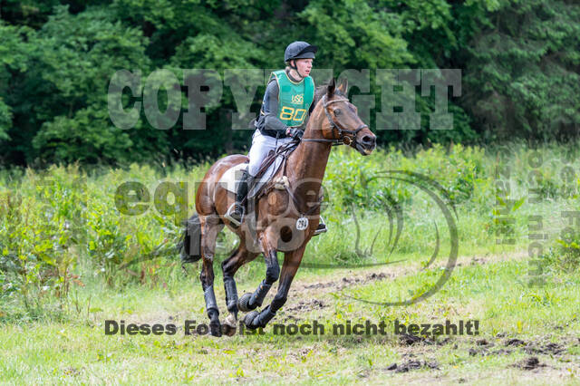 Westerstede Horse Trials (10.-13.06.2021)