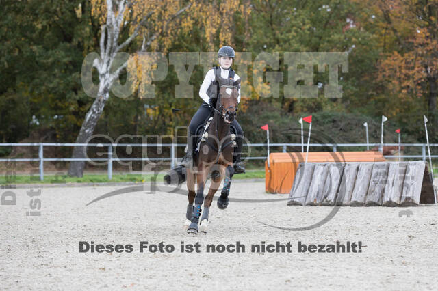 IGV Lehrgang der Sieger der Cups mit Frank Ostholt