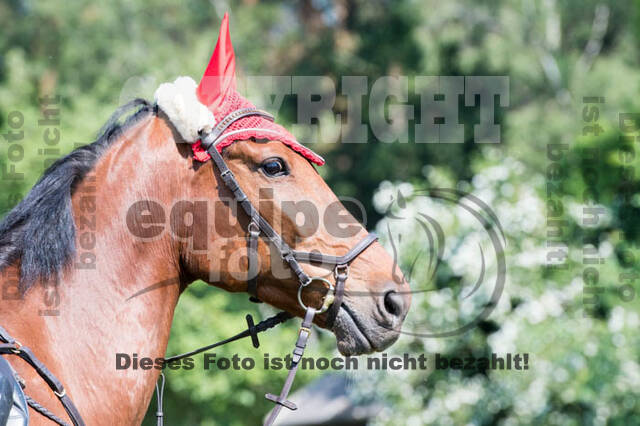 Tholi-Tour Lehrgang Vanessa Bölting