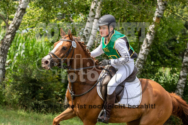 Late-Entry-Vielseitigkeit Gahlen (18.07.2020)