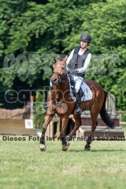 Goldene Schärpe 2021 - Ponys