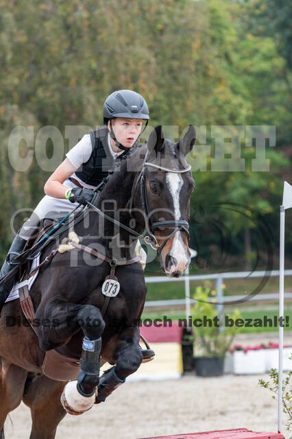 Goldene Schärpe 2020 - Pferde