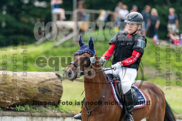 Goldene Schärpe 2021 - Ponys