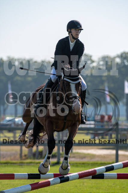 De Peelbergen (August 2020)