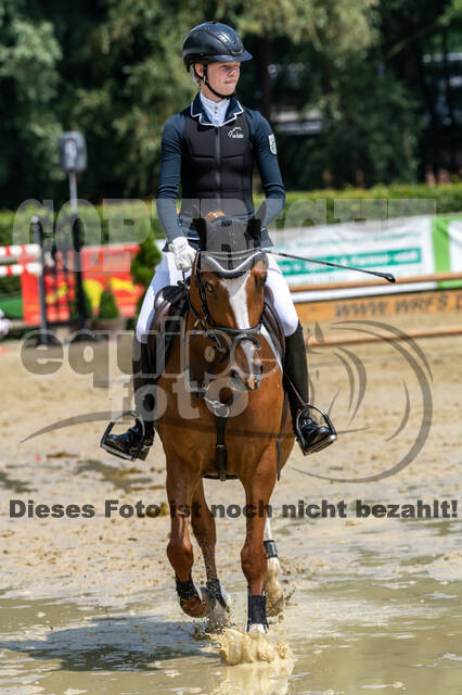 Goldene Schärpe 2021 - Ponys