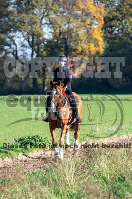 Vielseitigkeitslehrgang mit Jürg Kurbel (9.+10.11.2019)