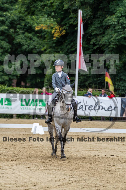 Goldene Schärpe 2021 - Ponys