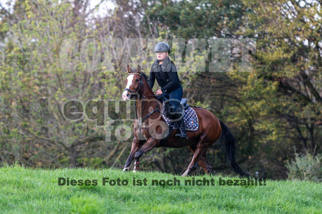 IGV Lehrgang der Sieger der Cups mit Frank Ostholt
