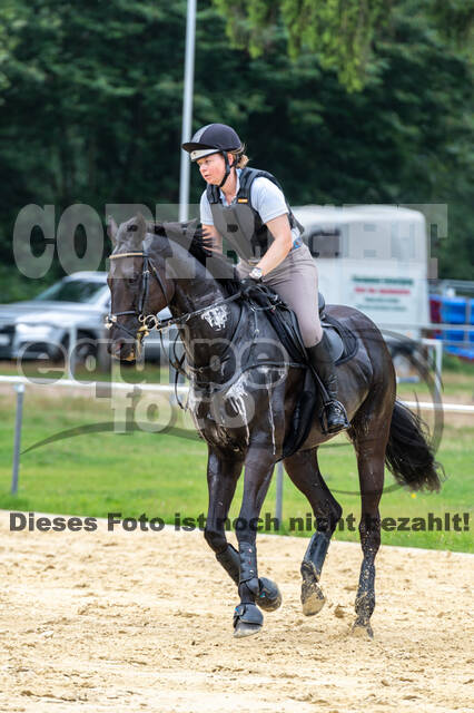 Hunter Geländetraining 10.07.2021 (Sonsbeck)
