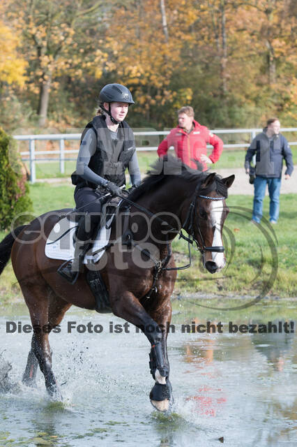 IGV Lehrgang der Sieger der Cups mit Frank Ostholt