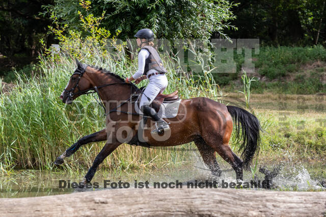 Late-Entry Vielseitigkeit Hamminkeln/Wesel (01.+02.08.2020)