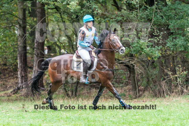 Vielseitigkeit RSV Wesel Obrighoven (26.+27.09.2020)