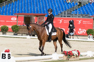FEI European Championship Eventing 2017