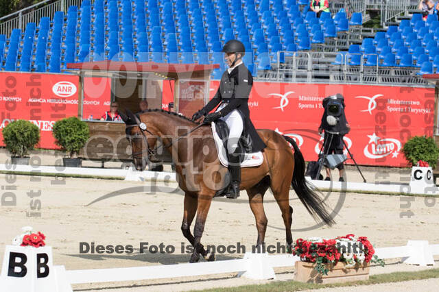 FEI European Championship Eventing 2017