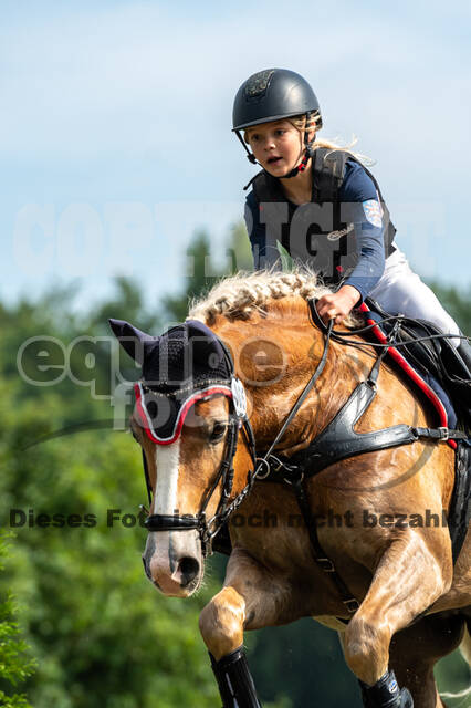 Goldene Schärpe 2021 - Ponys