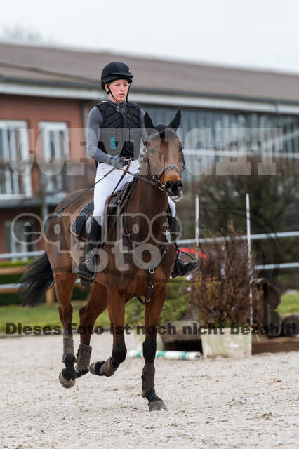 Eventing im Pferdesportzentrum Rheinland (Late Entry 14.03.2022)