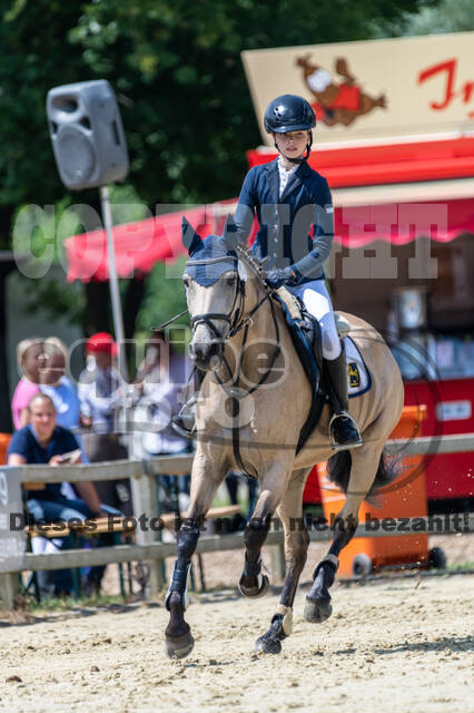 Goldene Schärpe 2021 - Ponys