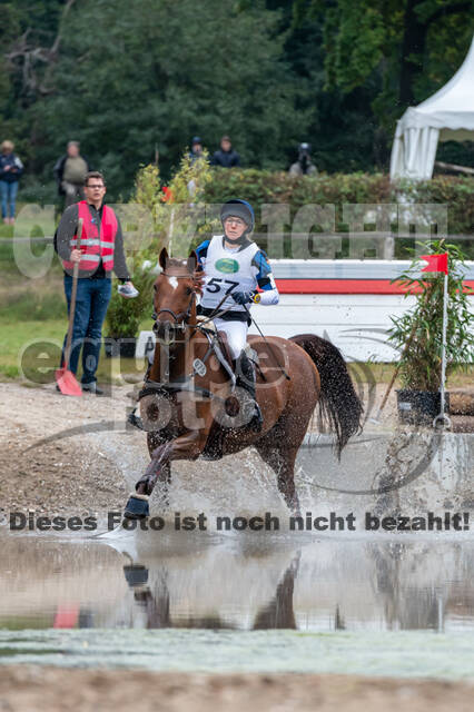 Deutsche Meisterschaft Vielseitigkeit (Luhmühlen)
