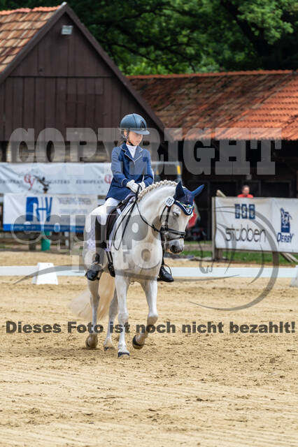 Goldene Schärpe 2021 - Ponys