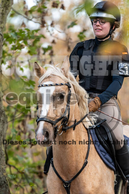 IGV Lehrgang der Sieger der Cups mit Frank Ostholt