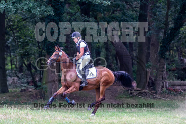 Late-Entry Vielseitigkeit Hamminkeln/Wesel (01.+02.08.2020)