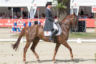 FEI European Championship Eventing 2017