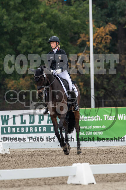 Deutsche Meisterschaft Vielseitigkeit (Luhmühlen)