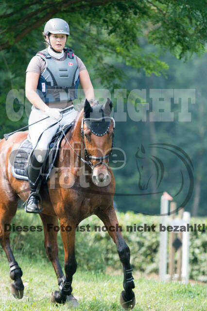 RFV Bad Honnef
