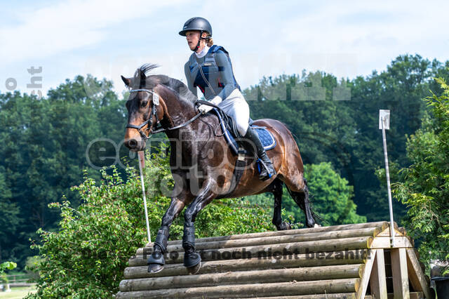 Goldene Schärpe 2021 - Ponys