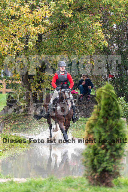 Goldene Schärpe 2020 - Pferde