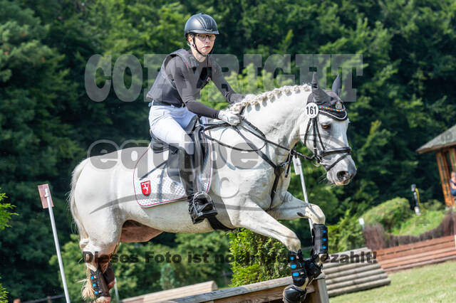 Goldene Schärpe 2021 - Ponys