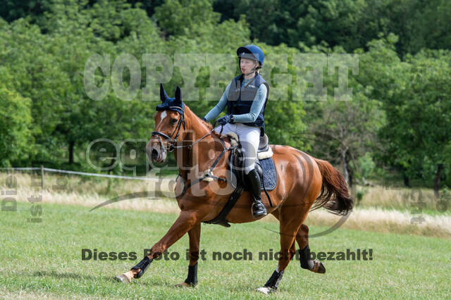 Bonn-Rodderberg Late-Entry-Vielseitigkeit (30.06.2020)