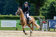 Goldene Schärpe 2021 - Ponys