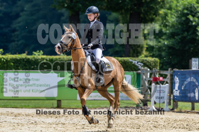 Goldene Schärpe 2021 - Ponys