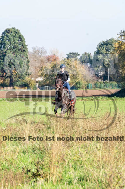 Vielseitigkeitslehrgang mit Jürg Kurbel (9.+10.11.2019)