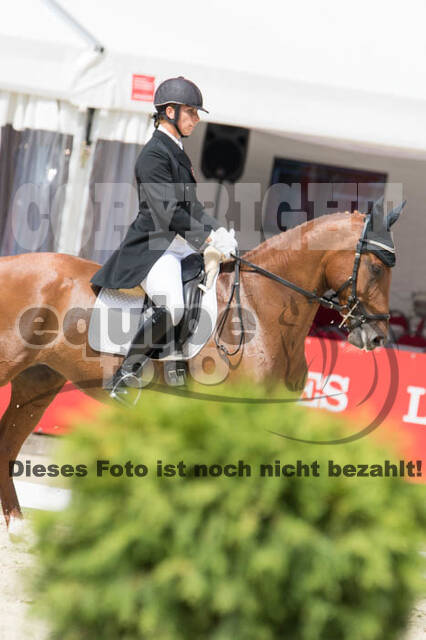 FEI European Championship Eventing 2017