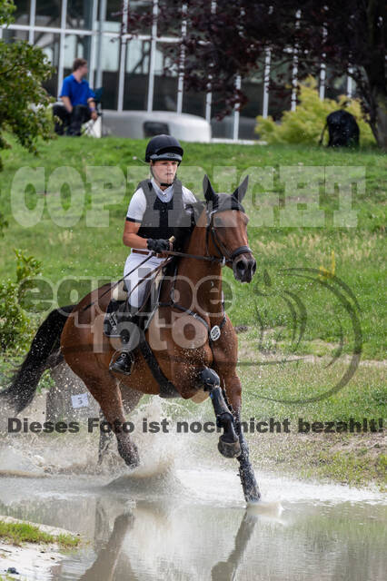 Late-Entry-Vielseitigkeit Langenfeld (06.+07.07.2020)