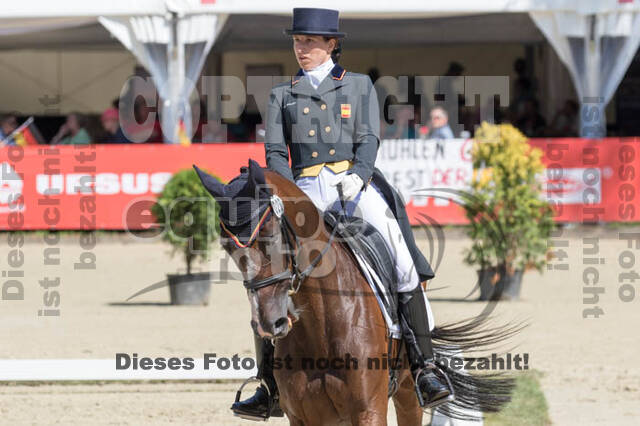 FEI European Championship Eventing 2017