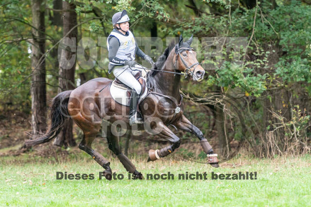 Vielseitigkeit RSV Wesel Obrighoven (26.+27.09.2020)