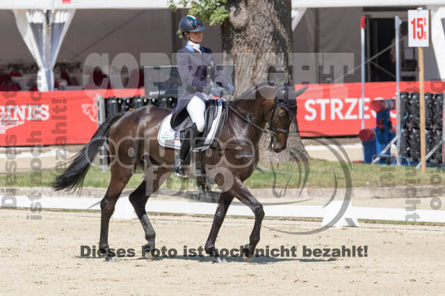 FEI European Championship