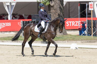 FEI European Championship