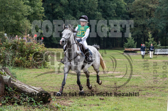 Vielseitigkeit RSV Wesel Obrighoven (26.+27.09.2020)