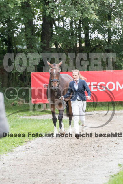 FEI European Championship Eventing 2017