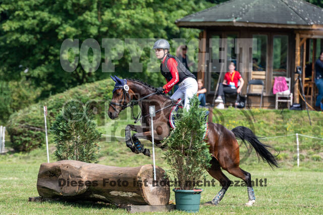 Goldene Schärpe 2021 - Ponys