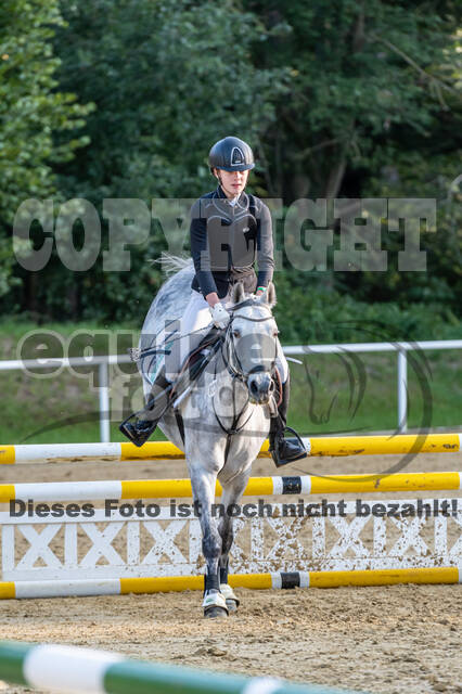RFV Dinslaken-Hiesfeld (Herbstturnier)