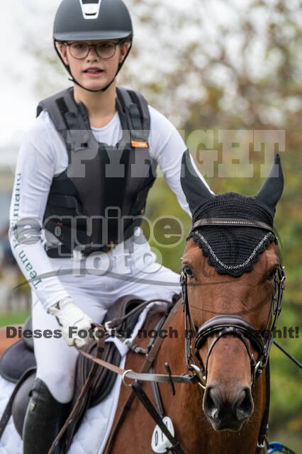 Goldene Schärpe 2020 - Pferde